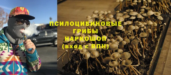 прущие грибы Армянск
