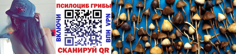 наркошоп  гидра tor  Псилоцибиновые грибы мицелий  Аткарск 